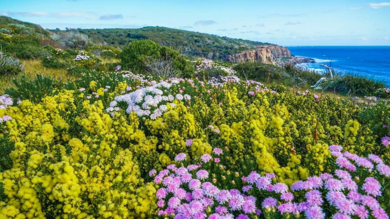 By The Sea Margaret River Gnarabup Экстерьер фото